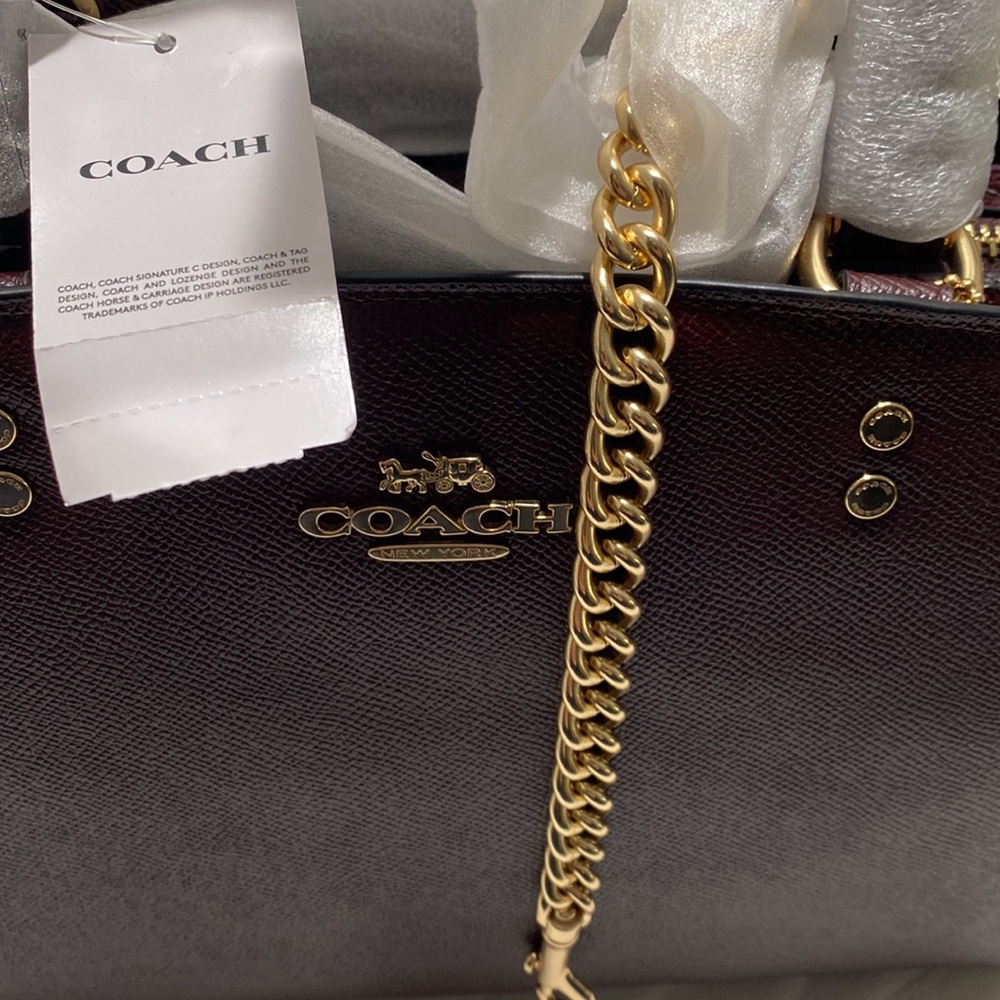 Coach Lillie Carryall Cranberry Red Snakeskin Gold Crossbody Chain Purse - Picture 7 of 8